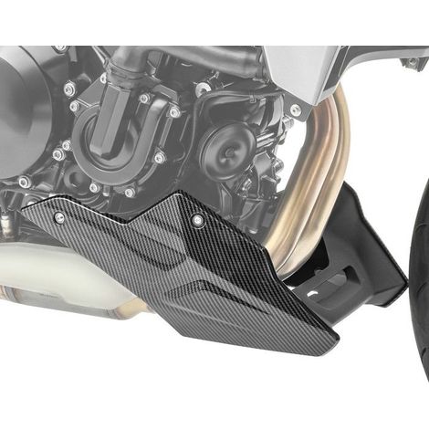 Motor-Schutz / Motor-Abdeckung für BMW F900 R / XR 20-25 Zaddox BS1 Carbon-Look