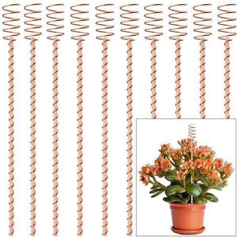 Matériaux : Tuteurs en bois et cuivre de 43 cm (17 pouces) pour l'électroculture, bobines de cuivre pour plantations horticoles électro-cultivées