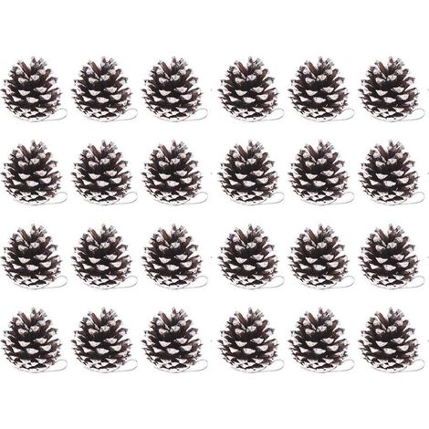 Pommes De Pin - Naturelles Givrees - 5 Cm - Pour Decoration Interieur Et Exterieur - Lot De 6 (1/5)