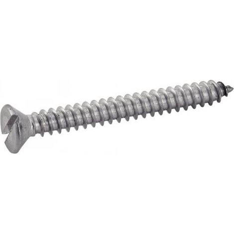 200 Vis à Tôle Tête Fraisée Fendue 5.5 x 19 mm - DIN 7972 - ISO 1482 - NFE25-660 - UNI 6952 - Inox A2 - D-Work