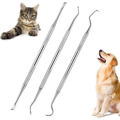 Outil de Nettoyage des Dents pour Animaux, 3 Pièces Acier Inoxydable Outil de Nettoyage des Dents pour Animaux, Nettoyant Dents De Chien, Kit D'hygiène Dentaire (1/5)
