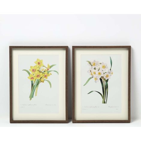 HOMESCAPES Set of 2 Narcissus Flower Wall Art (1/5)