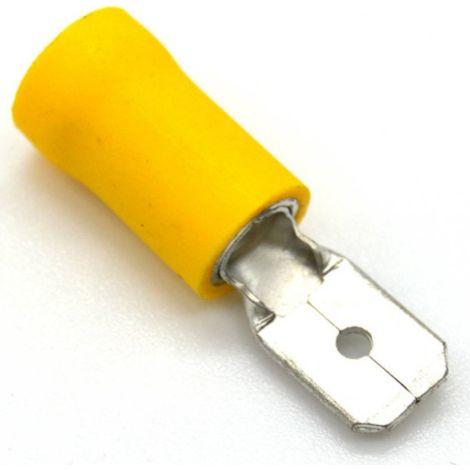 Cosses plates males jaune