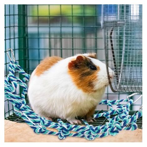 Pont de Corde et Échelle pour Oiseaux, Jouet d'Escalade pour Cage de Hamster, Rats et Perroquets, Filet de Corde et Hamac pour Petits Animaux (Bleu) (1/5)