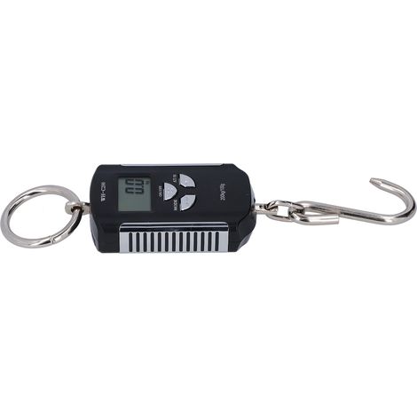 Balance pour grue 200 kg, crochet de suspension robuste, Steelyard, portable, électronique, rétroéclairage HD (argent/noir) (1/5)