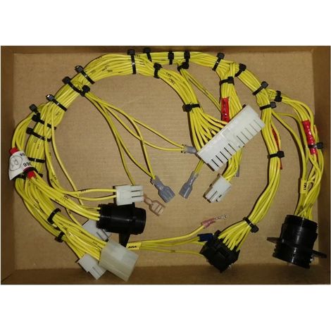 Cablaggio elettrico Molex 184/21966
