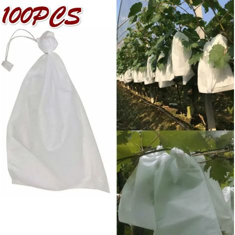 100 sacs de protection pour raisins avec cordon de serrage, sacs de protection pour fruits, sacs en filet anti-insectes, sacs de culture en tissu imperméable pour jardin, 24 x 36 cm (1/5)
