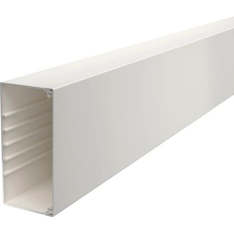 OBO Bettermann Canal de pared y techo con perforación en el fondo 80x170x2000 Cloruro de polivinilo blanco puro RAL 9010, 6191304