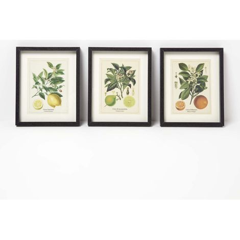 HOMESCAPES Wall Decoration Set of 3 Frames with Picture, Citrus Fruits (1/5)