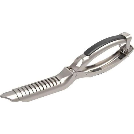 Outil Retirer Membrane Côtes Levées Barbecue Acier Inoxydable Préparation Viande Design Ergonomique 1 Pièce Professionnel