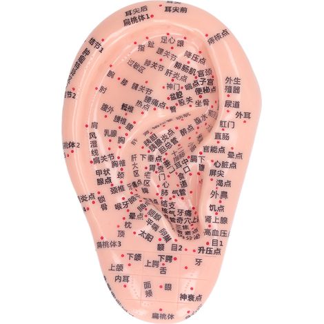 Modèle d'Acupuncture Auriculaire 6,7 pouces en Silicone pour Massage et Gravure - Usage Maison/Laboratoire (1/5)