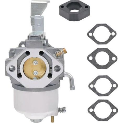 715668 Vergaser für Briggs & Stratton 715671 715670 715443 715312 715318 715505 (1/5)