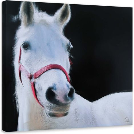 Tableau sur toile Cheval blanc Animaux 50x50 (1/5)