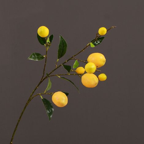 Branches de Citron Artificielles, Plantes Vertes de Simulation Vives pour Centres de Table de Cuisine, Décorations de Fête (200303QY15-1) (1/5)