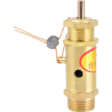 Soupape de sécurité de décharge de pression pour compresseur d'air G3/8 pour générateur de vapeur de chaudière (10 kg)