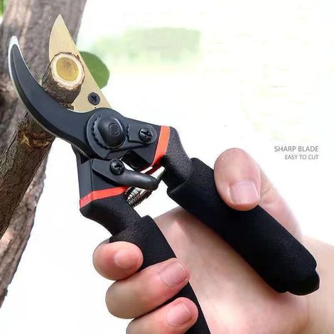 Sécateur, outils de greffage, outils de cueillette de branches d'arbres fruitiers, outils de pépinière pour la taille des branches1614-AquaForge