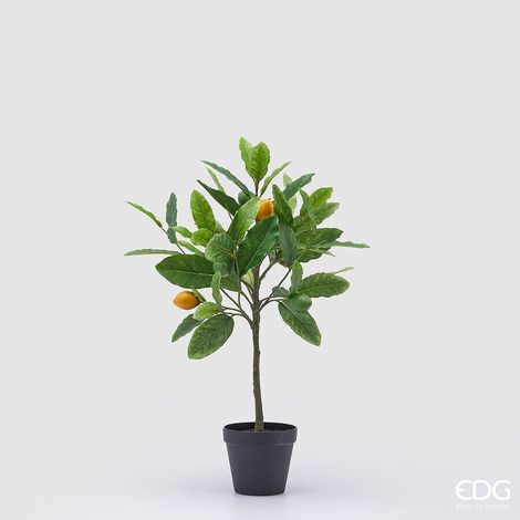 EDG Enzo De Gasperi Pianta Artificiale di Limoni con Vaso H 56 Cm Green Mix