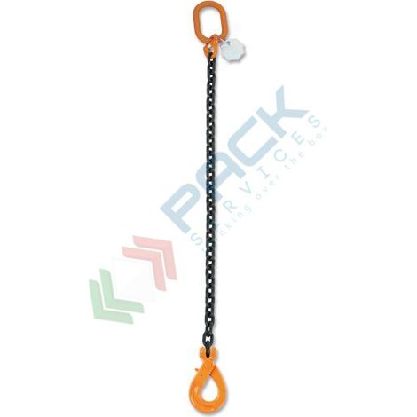 Robur 8091SL D10 Pendente sollevamento con gancio Self-Locking 1 braccio 3,15 T - 2 m (1/2)