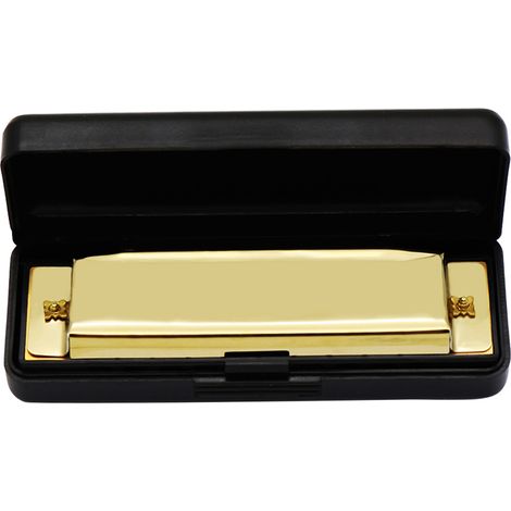 Harmonica Doré 10 Trous pour Enfants et Débutants - Instrument à Vent Léger en Métal (1/5)