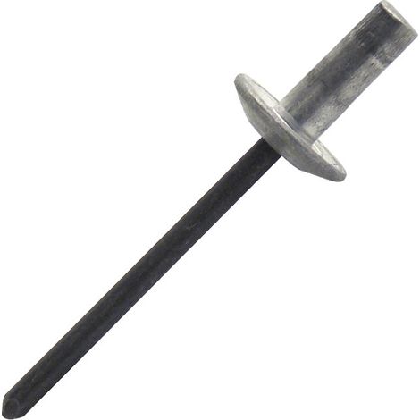 500 rivets aveugles étanches alu/acier TL, D. 4.8 x 13 mm - WAL4813-BC - Scell-it (1/4)