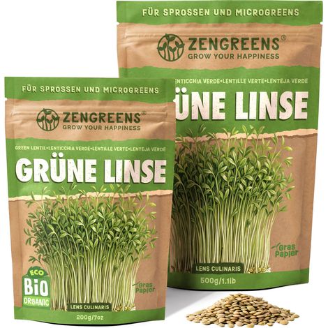 Bio Keimsaat Grüne Linse 500 g Sprossen und Microgreens ZenGreens