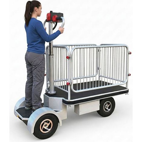 Chariot électrique avec barrières - Plateau 950x630mm - Charge 400kg - HG-132B (1/5)