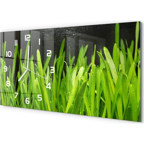 Horloge Murale XXL 60x30 cm Design Moderne en Verre Trempé Salon Salle à Manger Herbe (1/5)
