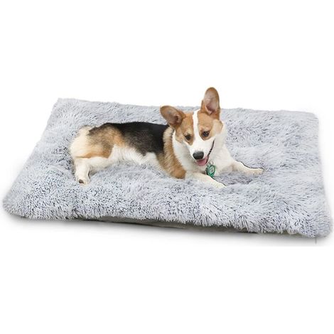 Lit pour Chien Grande Taille S 55x40cm, Moelleux Lit pour Chien Peluche, Gris clair