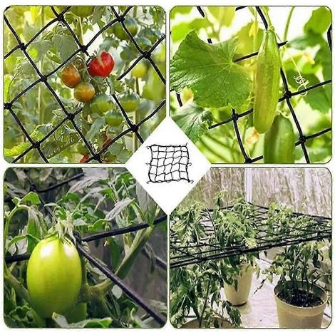 Filet de treillis de jardin de 90 cm, robuste, pour plantes grimpantes, idéal pour les concombres et autres plantes grimpantes. (1/5)