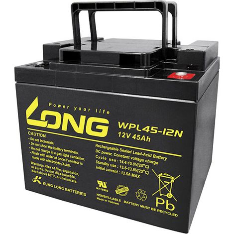 Long WPL45-12 Blei-Säure-Batterie 12 V 45 Ah schwarz