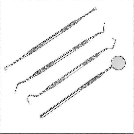 Kit de soins dentaires, 4 pièces, détartreur en acier inoxydable, instrument dentaire (1/4)