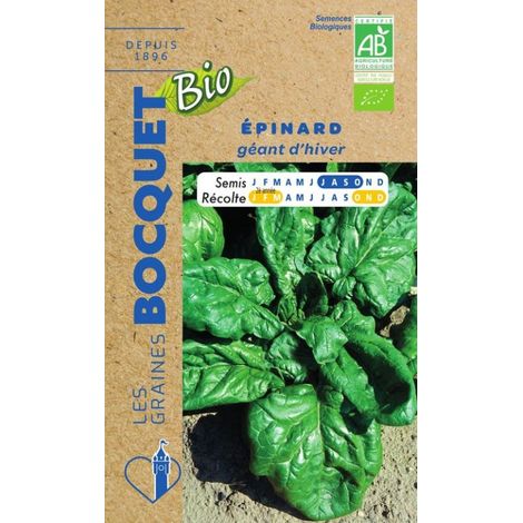 Epinard géant d'hiver Bio- certifié ECOCERT FR-BIO-01 - 10g