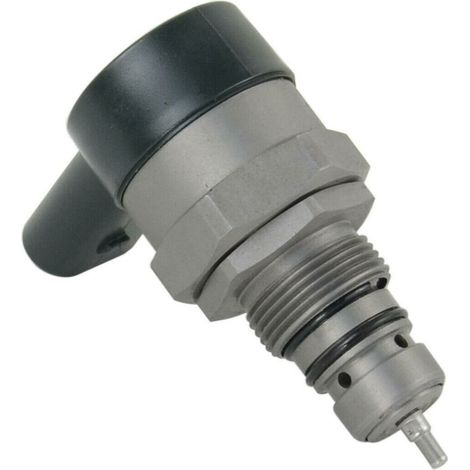 Fuel Pump Pressure Regulator Valve 0281002494 A6110780449 For
