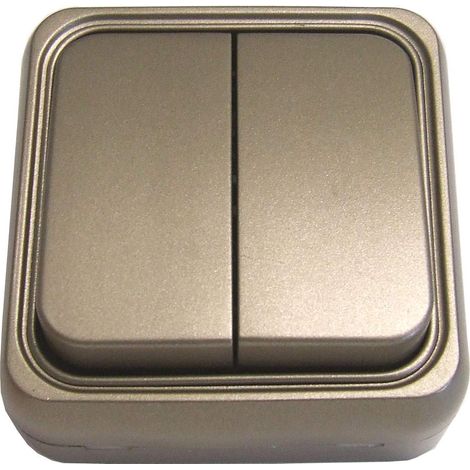 Double interrupteur 10 A Bronze Sac Surface 250 V