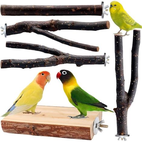 Jouets Perche Perchoir bois Fourche Jouets Multi-branches Perchoir Plateforme Jouet petits conures calopsittes perroquets pinsons (1/5)