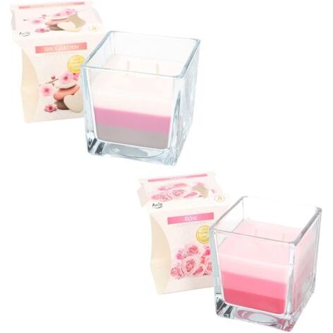 Lot de 2 bougies parfumées à 2 mèches dans un verre - Trois couleurs - Idée cadeau - Aromathérapie - Durée de combustion jusqu'à 32 heures (spa jardin + rose)-NANOTEH (1/5)