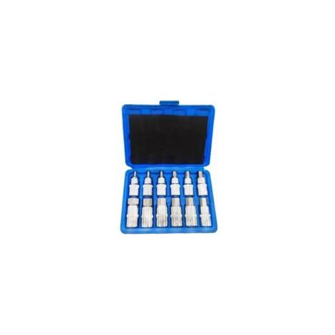 Ein Satz mit 12 Torx-Innensechskantschlüsseln in den Größen 5, 6, 7, 8, 10, 12, 14, 16, 17, 18, 19 und 22 mm, inklusive Aufbewahrungsbox aus Kunststoff, 12,5 mm (1/2 Zoll) – Crezuo (1/4)