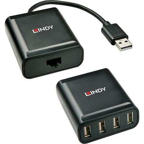 Lindy 42679 hub di interfaccia USB 2.0 Nero (1/4)