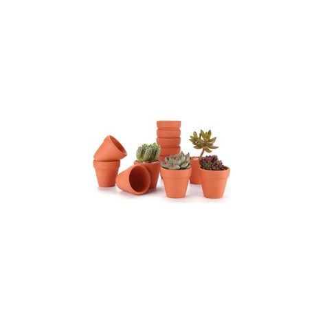 Coupelles en terre cuite pour plantes d’intérieur et d’extérieur – Lot de 12 mini-coupelles de 8 cm, idéales pour succulentes, cactus, fleurs, décoration intérieure, jardinage, mariages et événements (1/5)