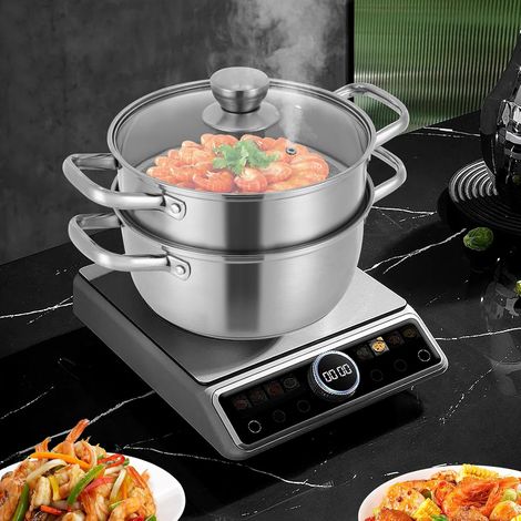 Dampfgarer Edelstahl 2 Lagiger, Dampfkocher 20 CM Edelstahl Topf mit Glas-Deckel Dampfkocher Induktion Kochtopf Dampfgarer für Kochen, Suppe, Nudeln, Fische