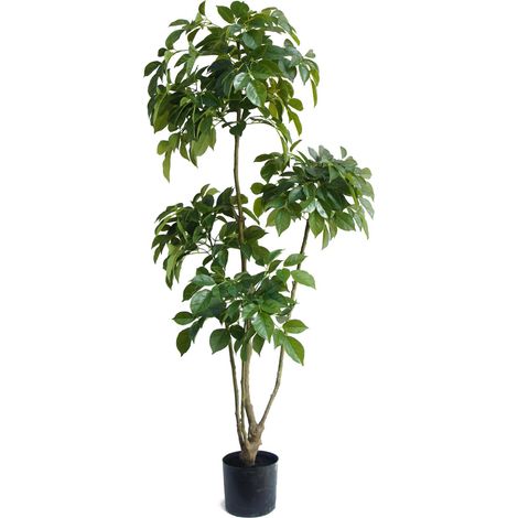 150cm Radermachera Realistic Artificial Tree (1/2)