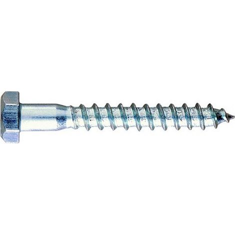 DIN 571 A2 - TOR. BARRAQUERO. INOX A2 06X040 ( 100 u.)