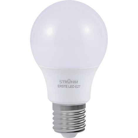 Ampoule LED globe E27 12W blanc chaud 1150 lm ERSTE Struhm (1/2)