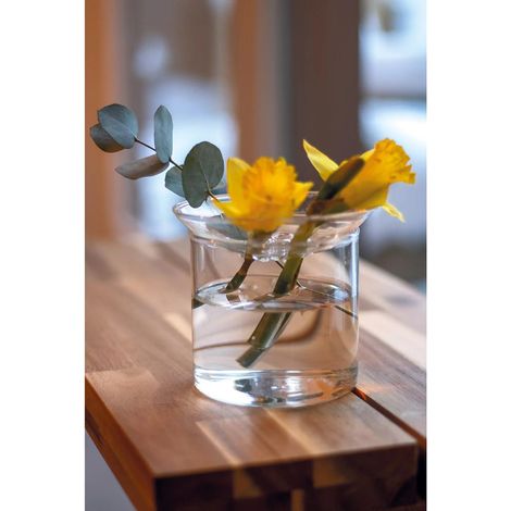 Vase de Germination avec Disque de Propagation pour Bulbes et Boutures Ø 12 x 10,8 cm - PANGIVO (1/2)