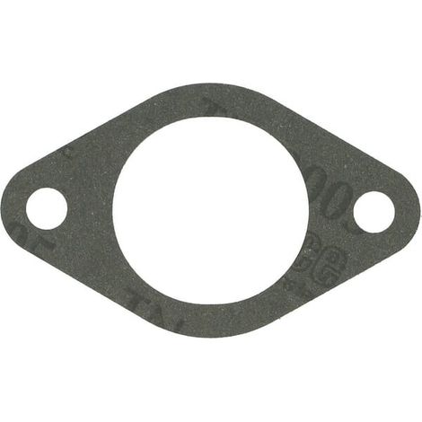 Guarnizione per carburatore BRIGGS ET STRATTON 272569S