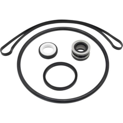 Hayward Super II Kabelverbinder-O-Ring-Reparatursatz - Kompatibel mit den Pumpen SP3000X, SPX1600Z2 und PS-201 (1/5)