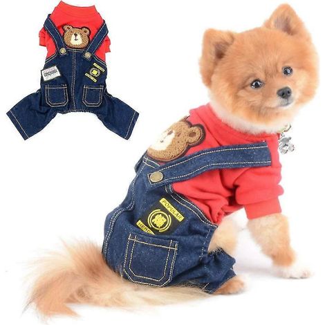 Las cuatro patas de la mascota se engrosan en otoño e invierno. (1/5)