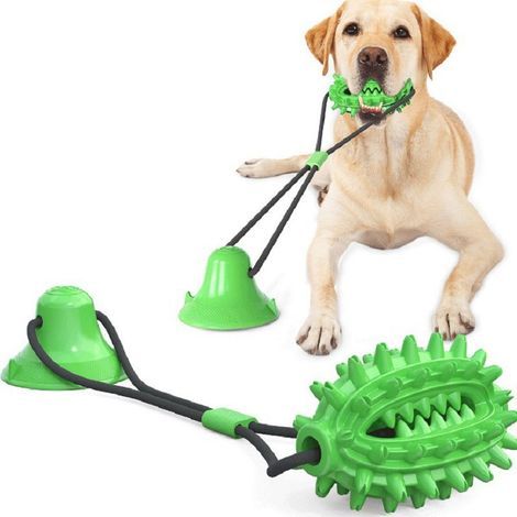 Jouets à mâcher pour chiens, jouets à sucer pour chiens, dents de (1/5)