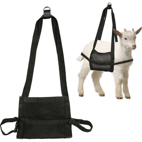 Écharpe de Veau pour Peser Animaux Nouveau-Nés, Écharpe Poids d'agneau avec Sangles et Boucle Réglables Balance Suspendue Nylon pour Bétail pour Coupe des Sabots Bébé Chèvre Toilettage Chien (1/5)
