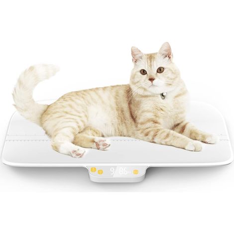 Pèse-personne numérique pour animaux de compagnie, pèse-bébé, précision ± 0,08 oz, max 30 kg/66 lb, maintien automatique, conception intégrée sans démontage (1/5)